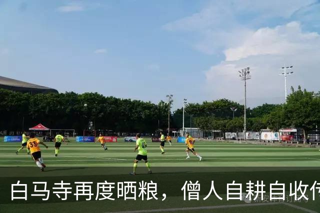 白马寺再度晒粮，僧人自耕自收传承祖训
