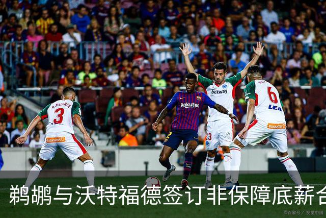 鹈鹕与沃特福德签订非保障底薪合同 初始保障为25万